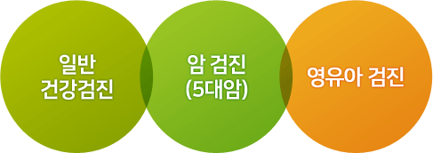 일반건강검진, 암검진(5대암),생애전환기검진,영유아검진